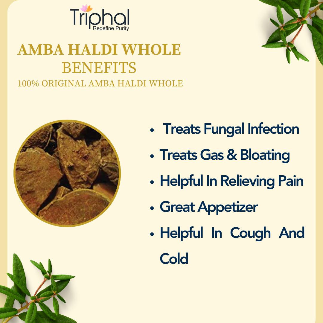 Amba Haldi Whole (Sabut) - 100% Pure and Natural Curcuma Amada Rhizome - Wild Turmeric - Mango Ginger - Aama Haldi buy now