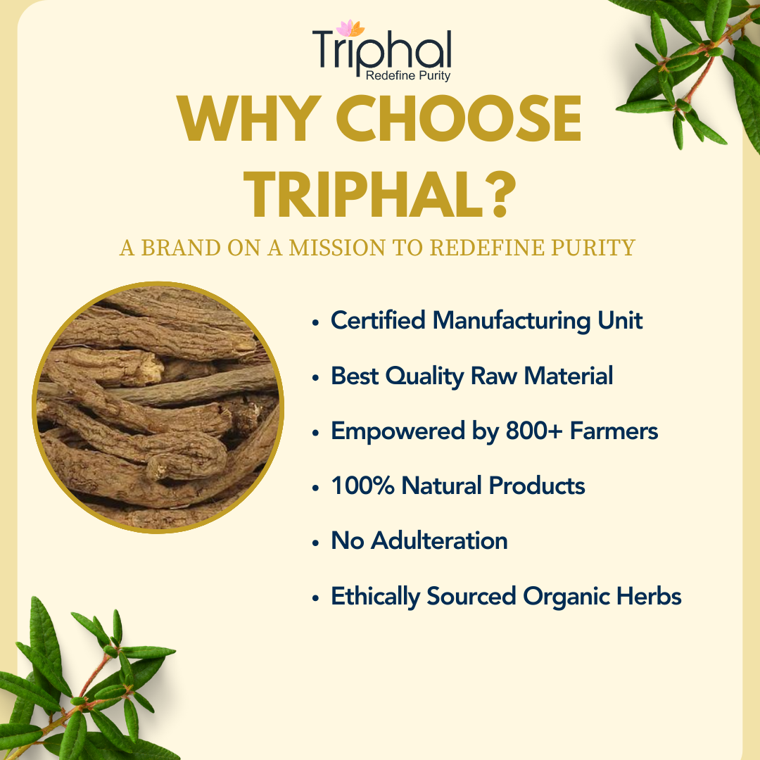 Box of Akarkara Irani Powder - Pellitory Root Powder by Triphal Brand - 100% Pure and Original Aqarqara Powder