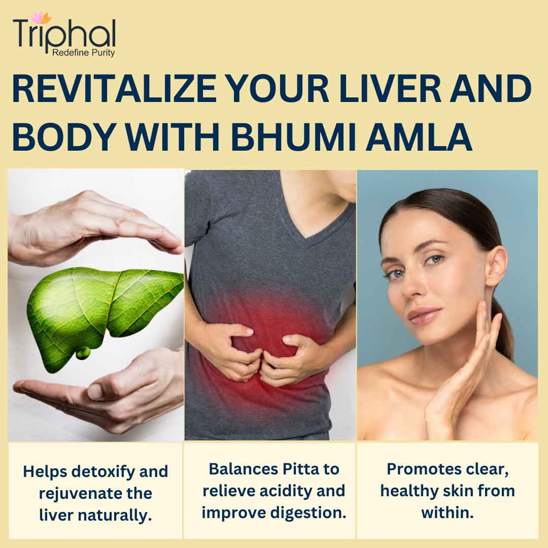 Bhumi Amla Powder - Pure, Natural Bhumyamalaki Churna | Triphal