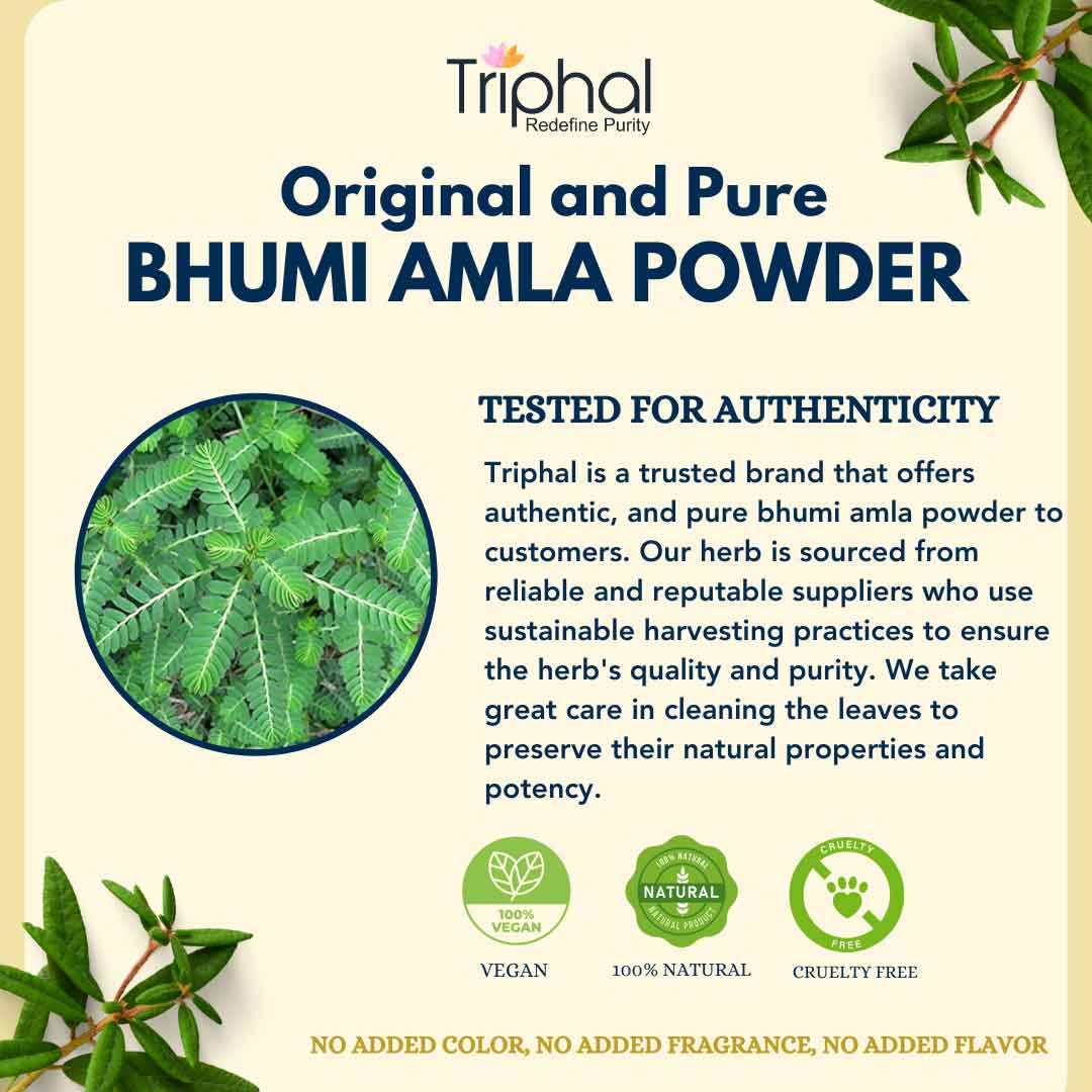 Bhumi Amla Powder - Pure, Natural Bhumyamalaki Churna | Triphal