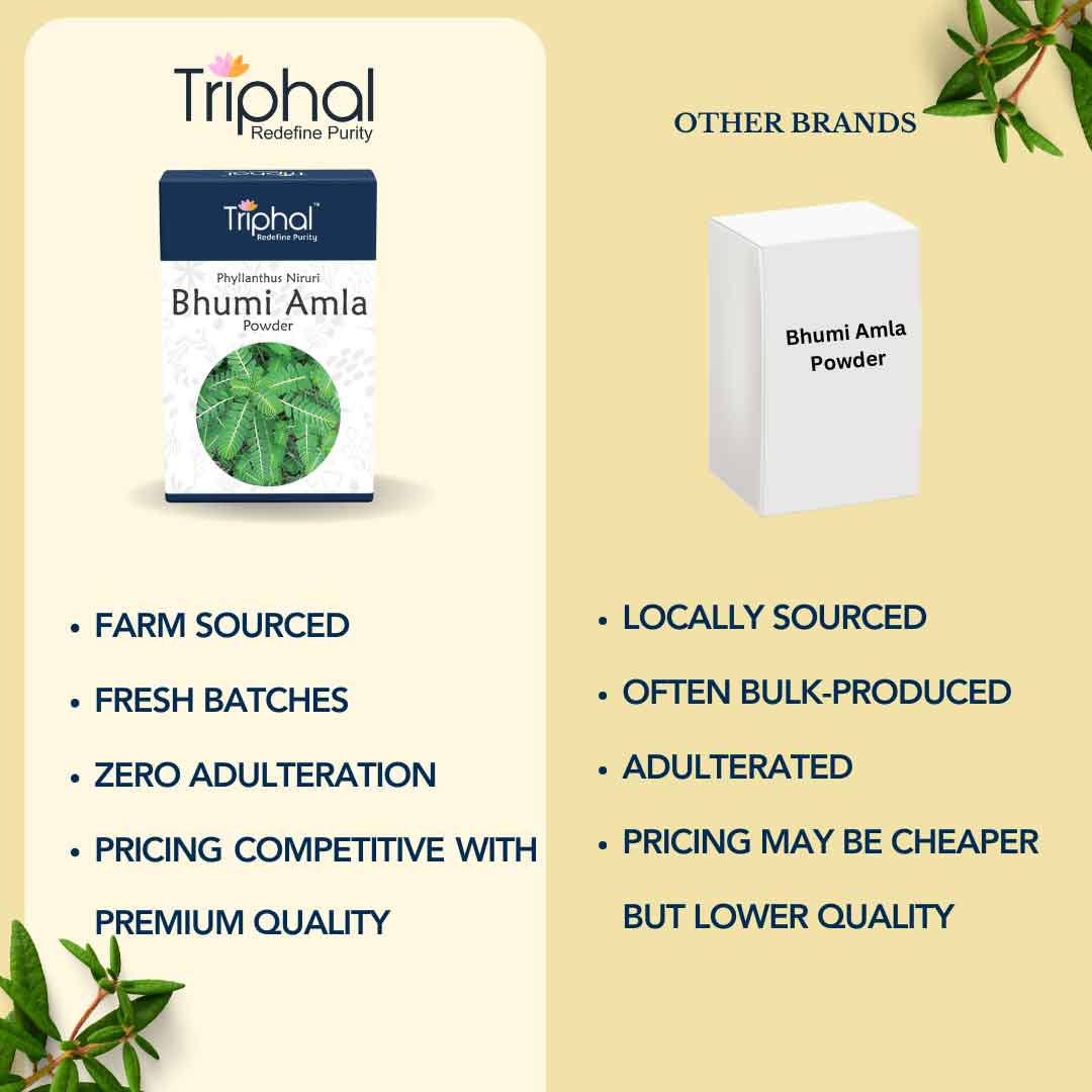 Bhumi Amla Powder - Pure, Natural Bhumyamalaki Churna | Triphal