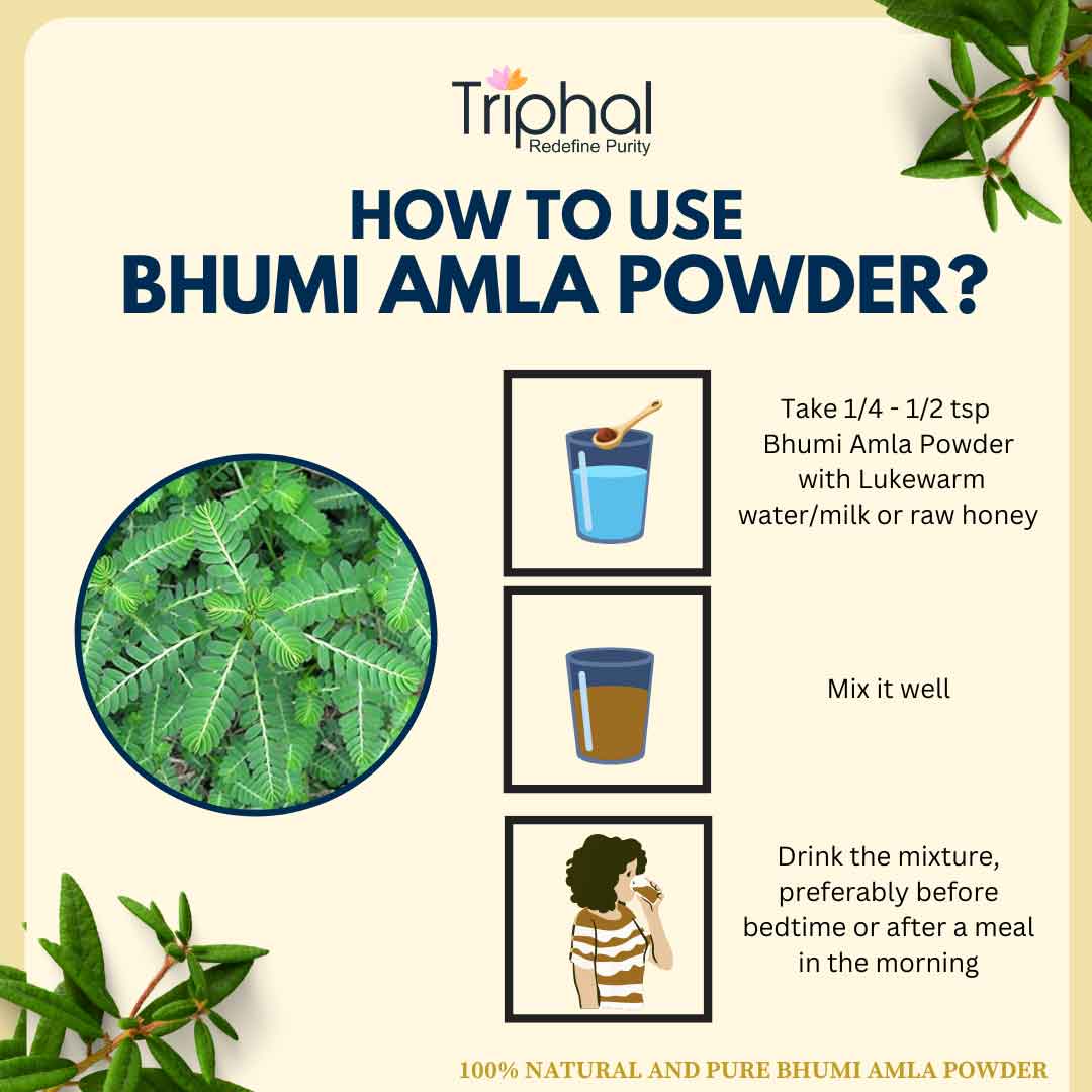 Bhumi Amla Powder - Pure, Natural Bhumyamalaki Churna | Triphal