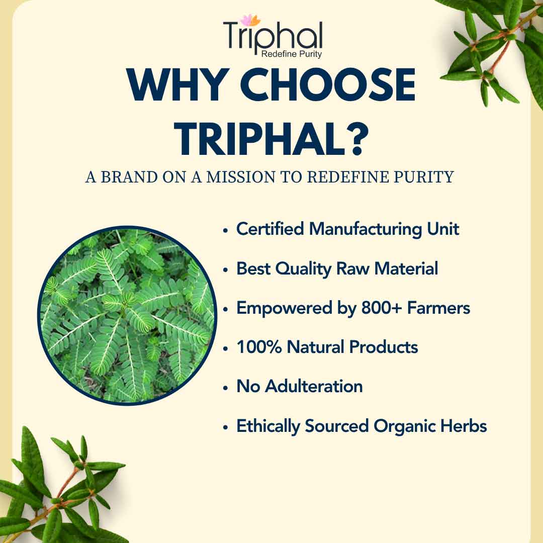 Bhumi Amla Powder - Pure, Natural Bhumyamalaki Churna | Triphal