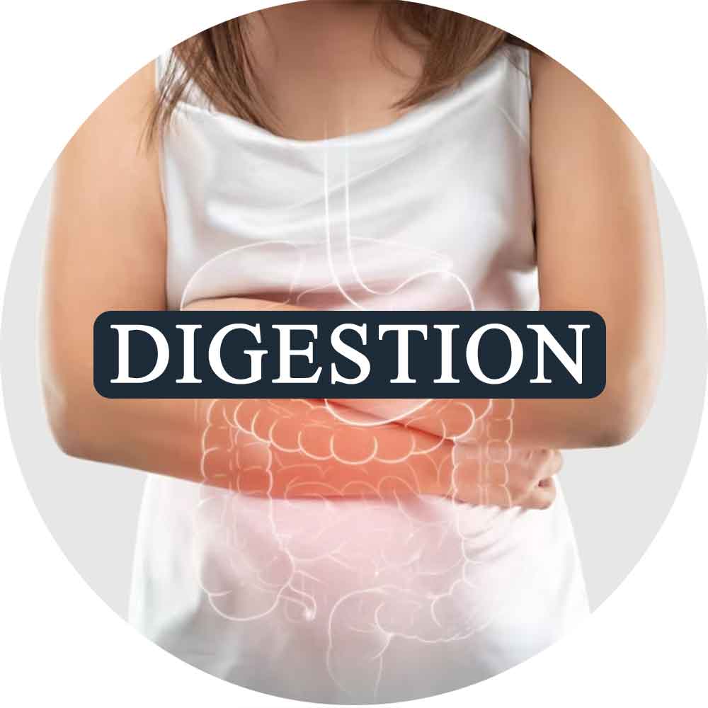 Herbs For Digestion By Triphal