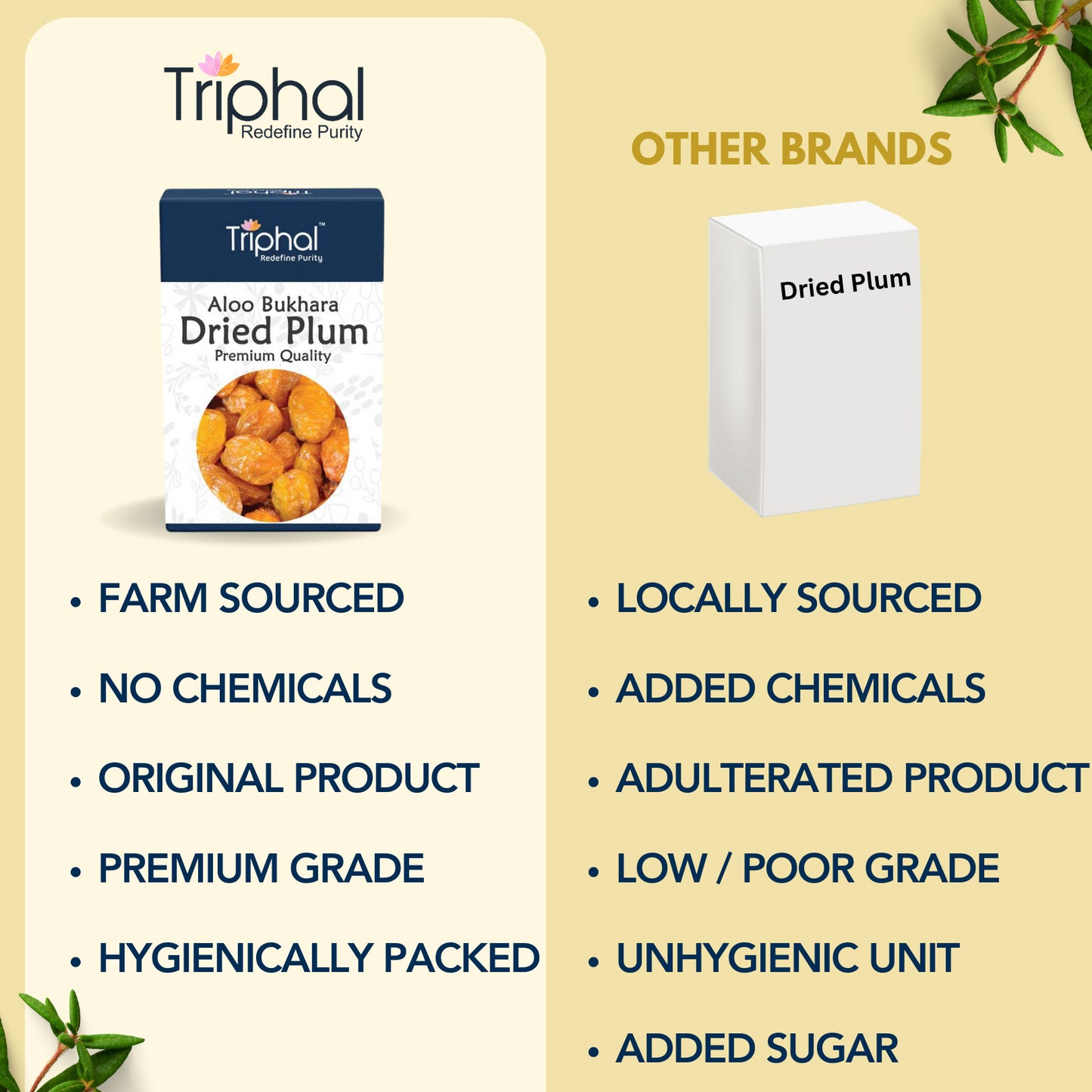 Dried Plum - Aloo Bukhara | Premium Edible Grade