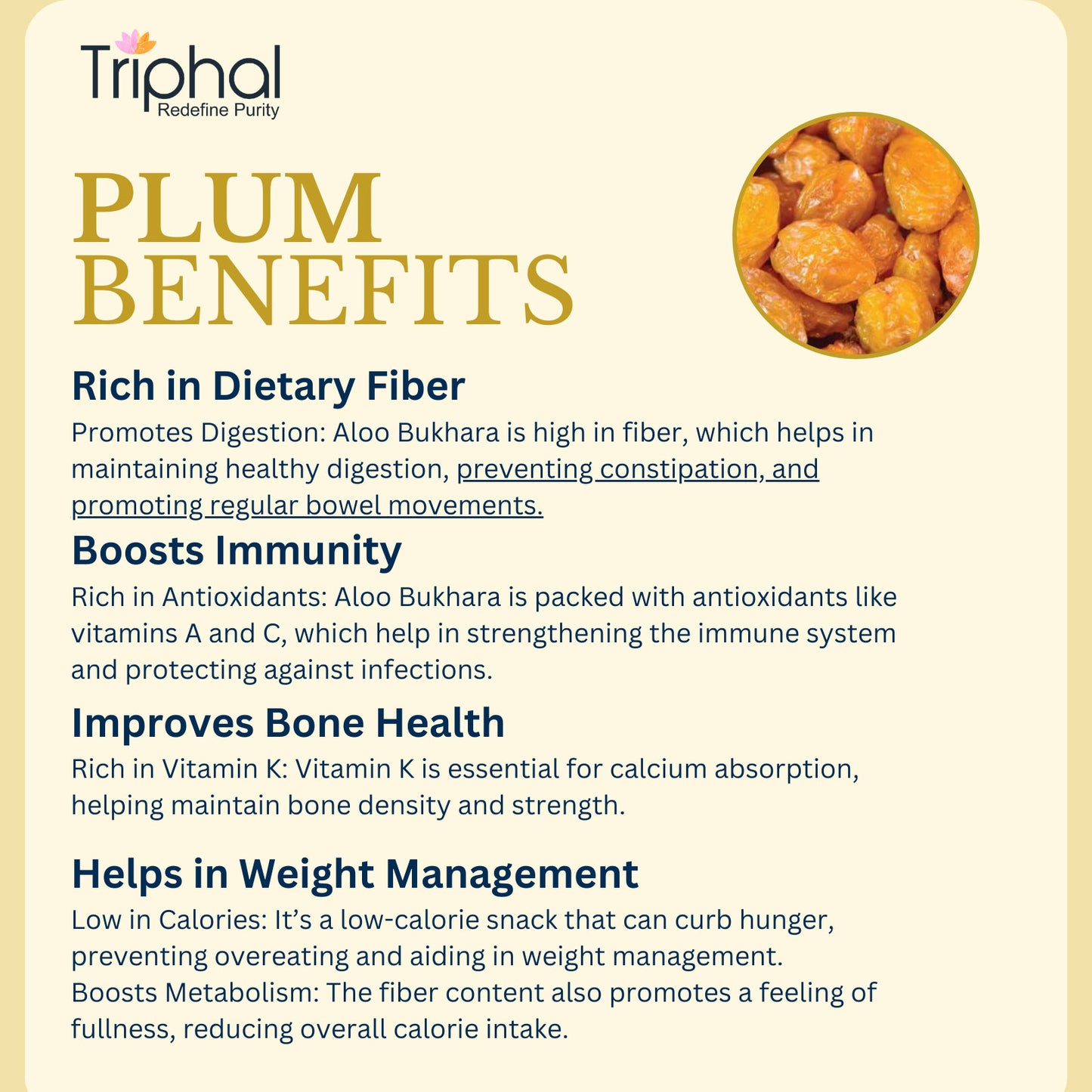 Dried Plum - Aloo Bukhara | Premium Edible Grade