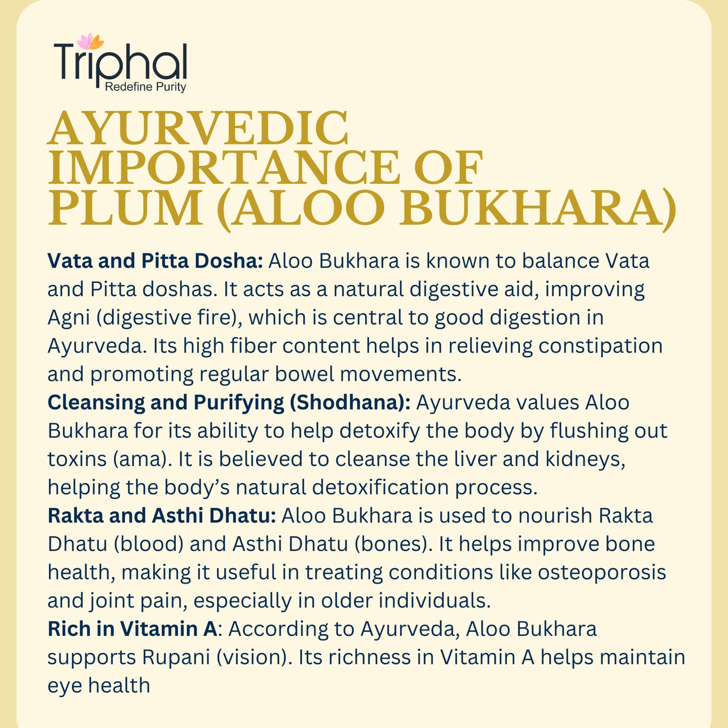 Dried Plum - Aloo Bukhara | Premium Edible Grade