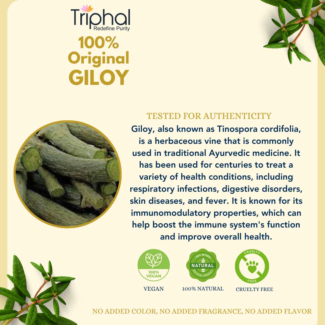 Giloy - Amrita - Guduchi - Gilo | Raw Dried Form | Edible Grade | Triphal