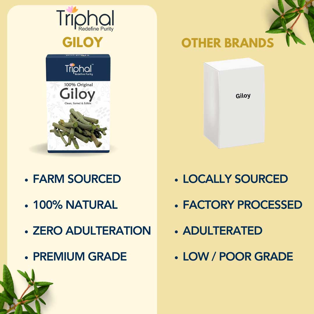 Giloy - Amrita - Guduchi - Gilo | Raw Dried Form | Edible Grade | Triphal