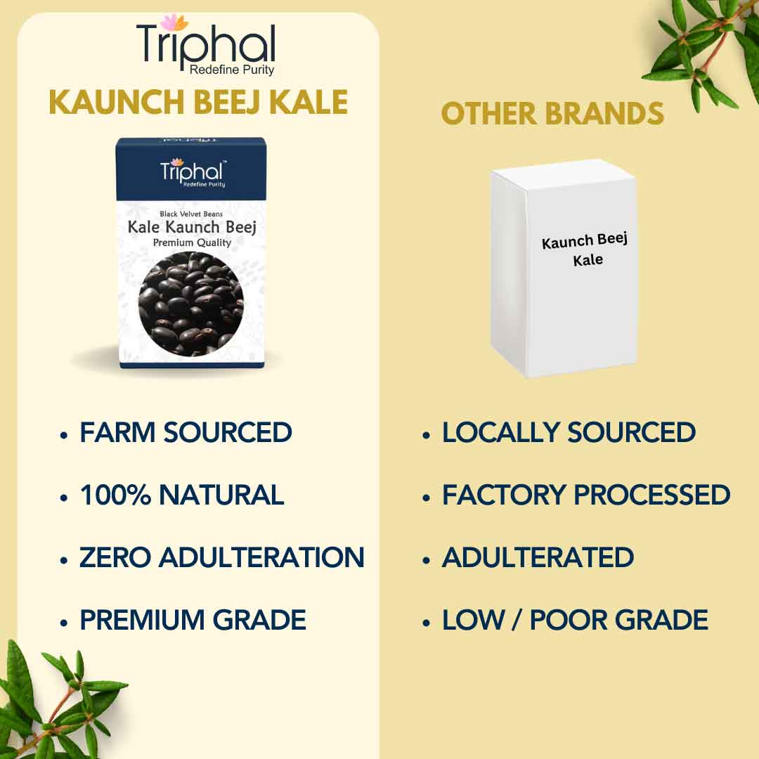 Kaunch Beej Kale – Black Velvet Beans | Premium Quality Seeds | Triphal