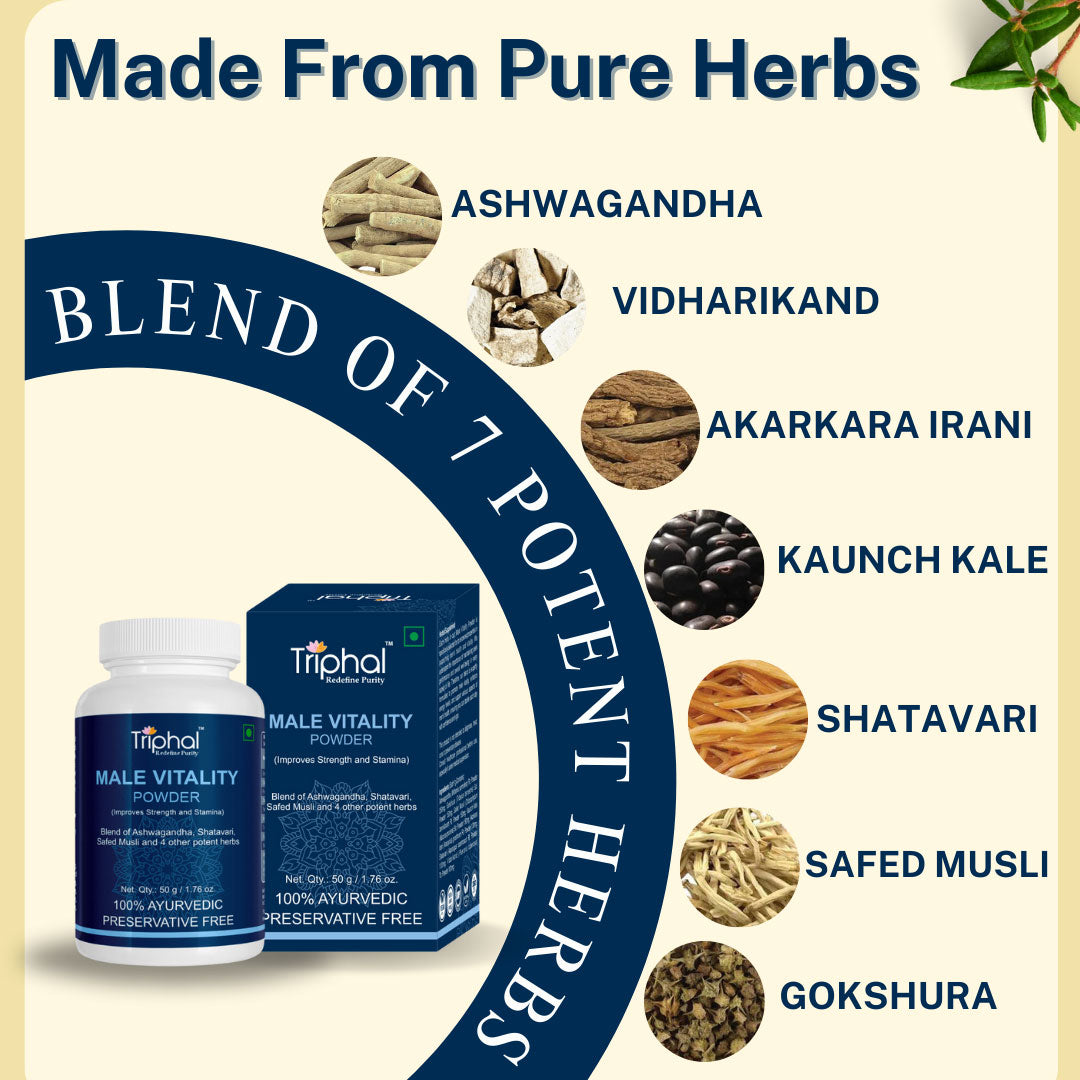 Shakti Max Combo - Pure Himalayan Shilajit, Male Vitality Powder