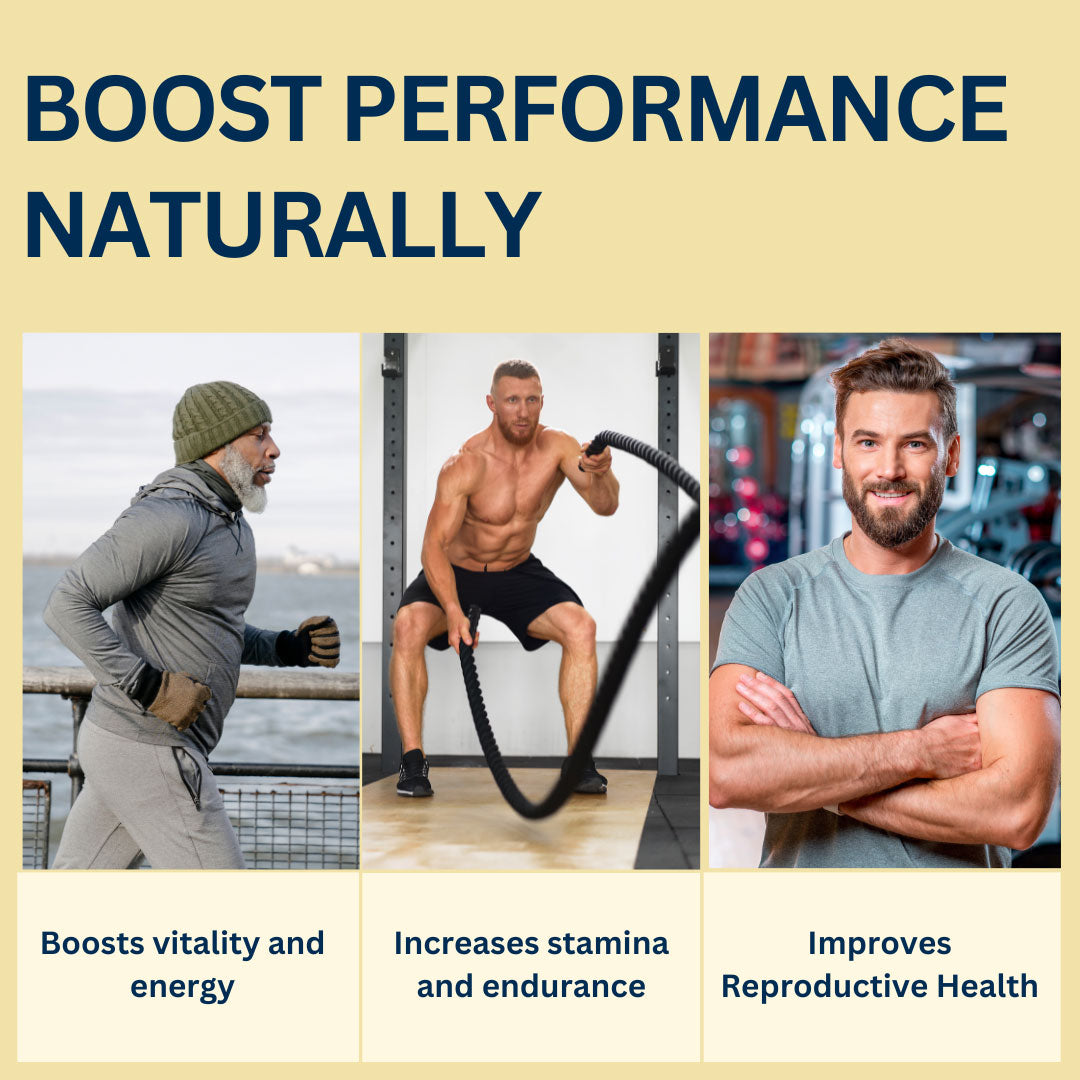 Male Vitality Powder