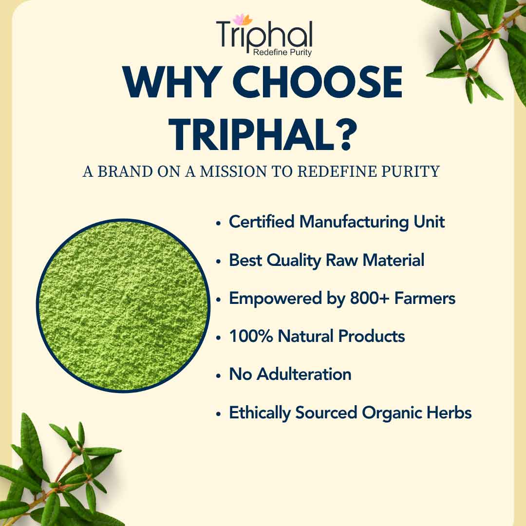 Moringa Leaf Powder - Pure, Organic Sahjan Patta Churna / Drumstick Leaf Powder | Triphal