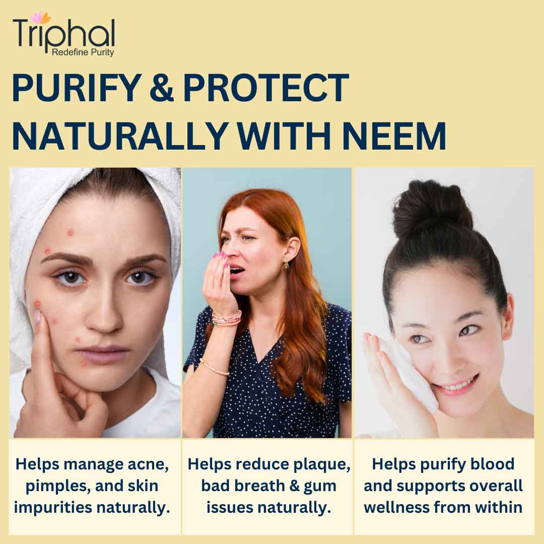 Neem Leaf Powder - Pure and Natural Nim Patta Churna | Triphal