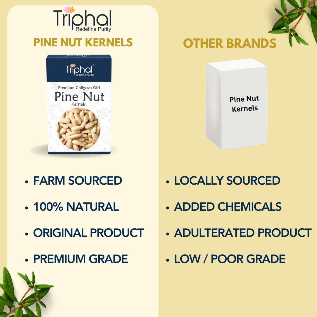 Pine Nut Kernels - Chilgoza Giri | Without Shell | Premium Grade | Triphal