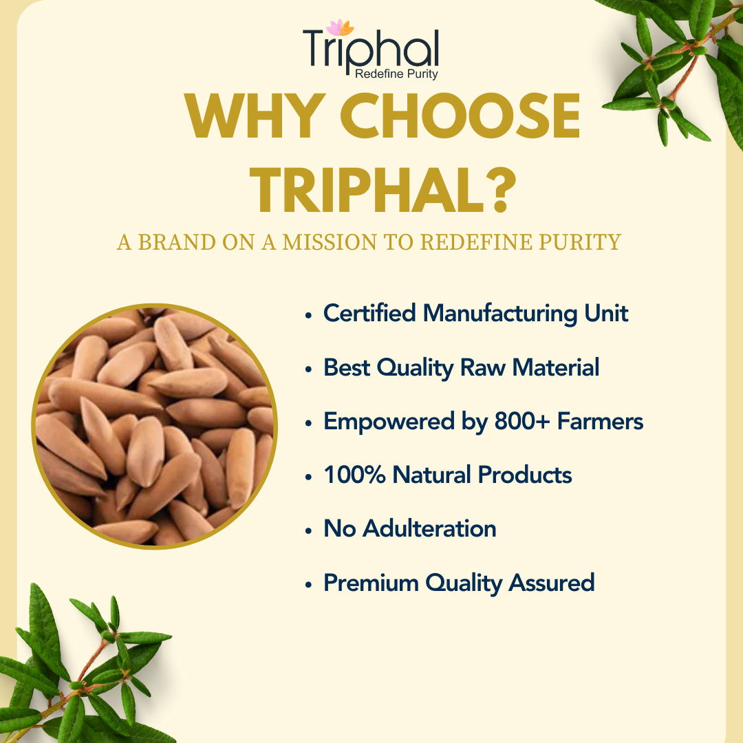 Pine Nuts - Chilgoza | With Shell | Premium Grade | Triphal