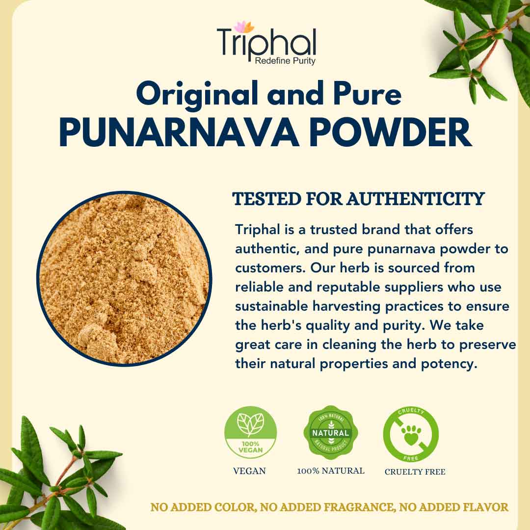 Punarnava Powder - Pure, Organic & Preservative Free Churna