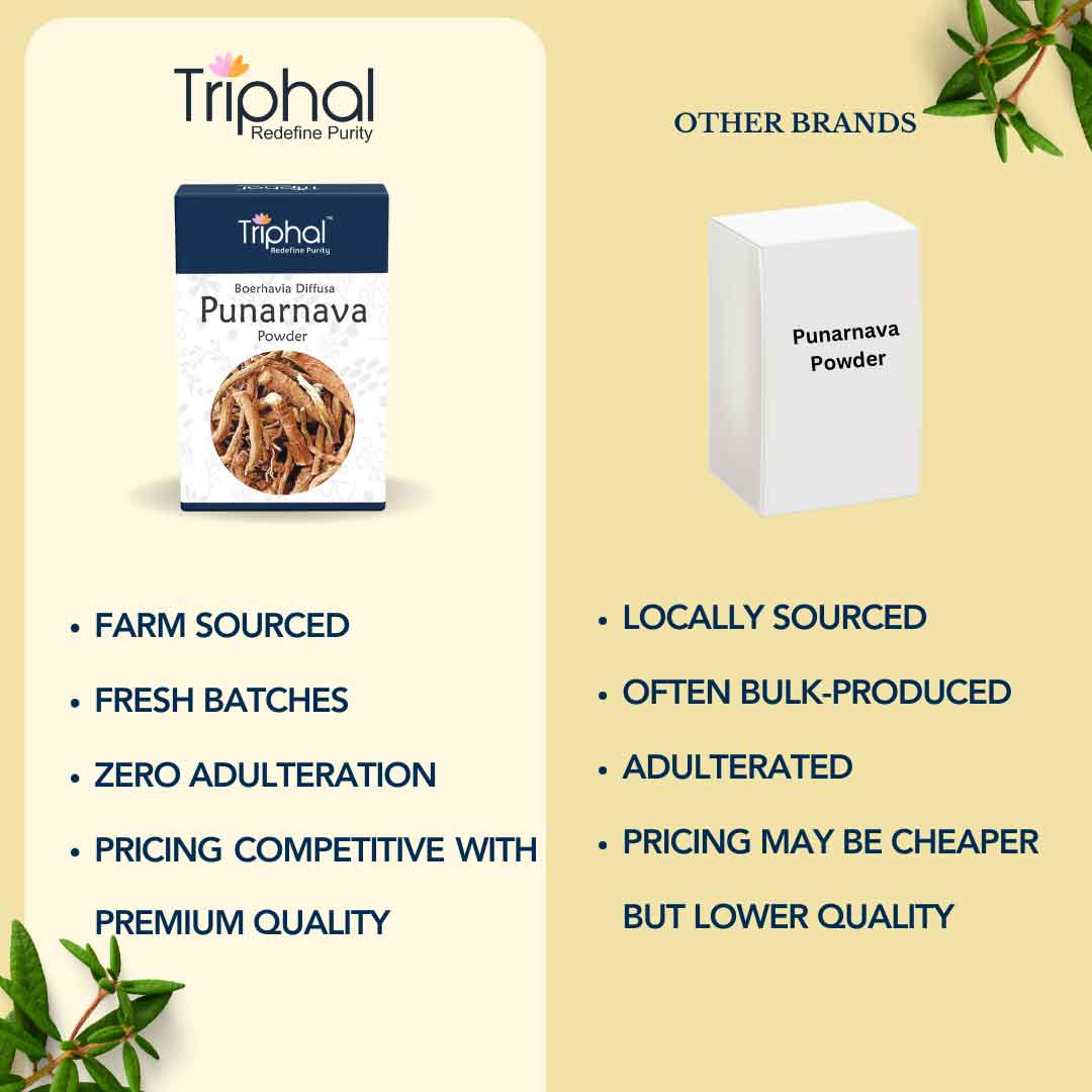 Punarnava Powder - Pure, Organic & Preservative Free Churna