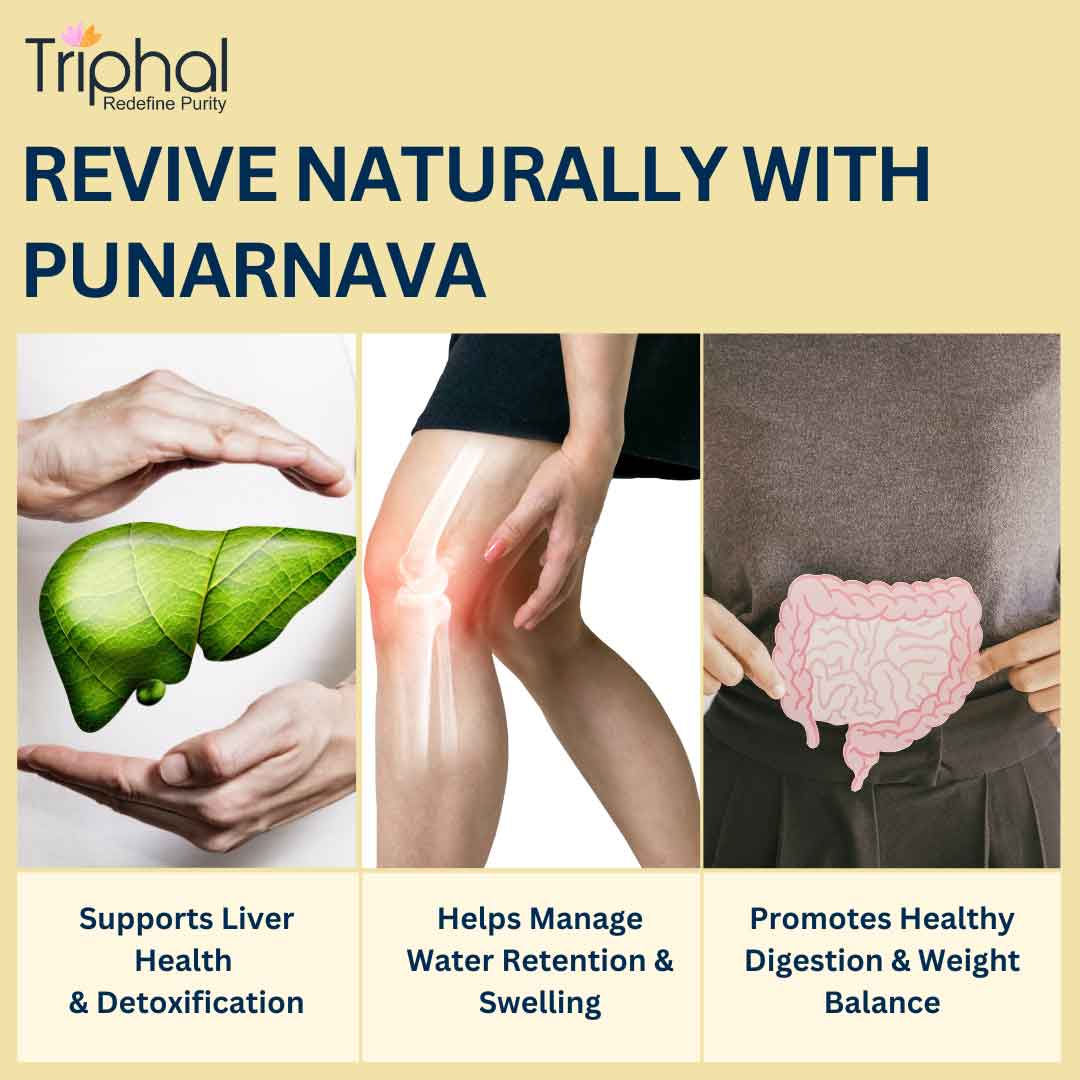 Punarnava Powder - Pure, Organic & Preservative Free Churna