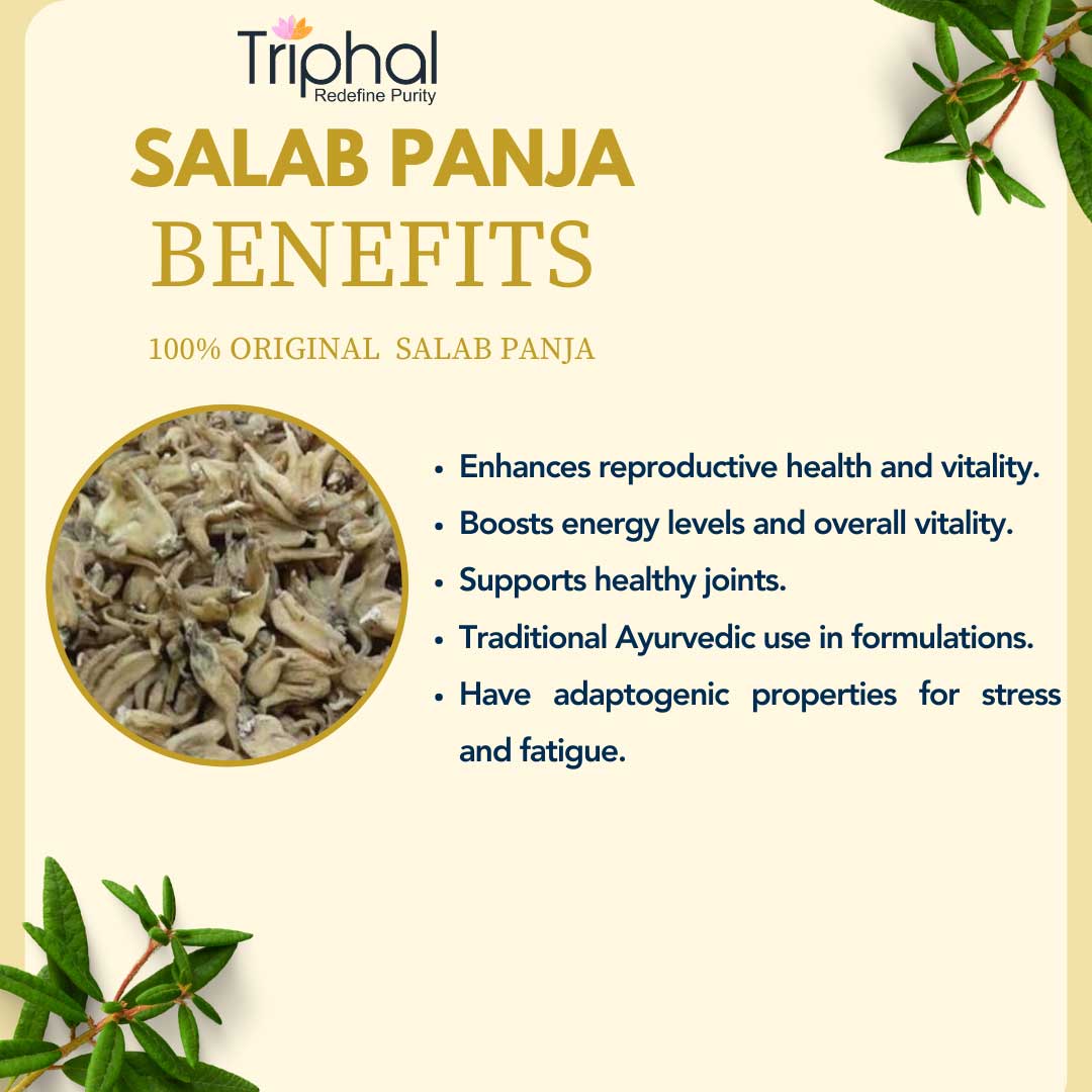 Salab Punja – Salam Panja – Marsh Orchid | Most Potent Herb For Men | Triphal