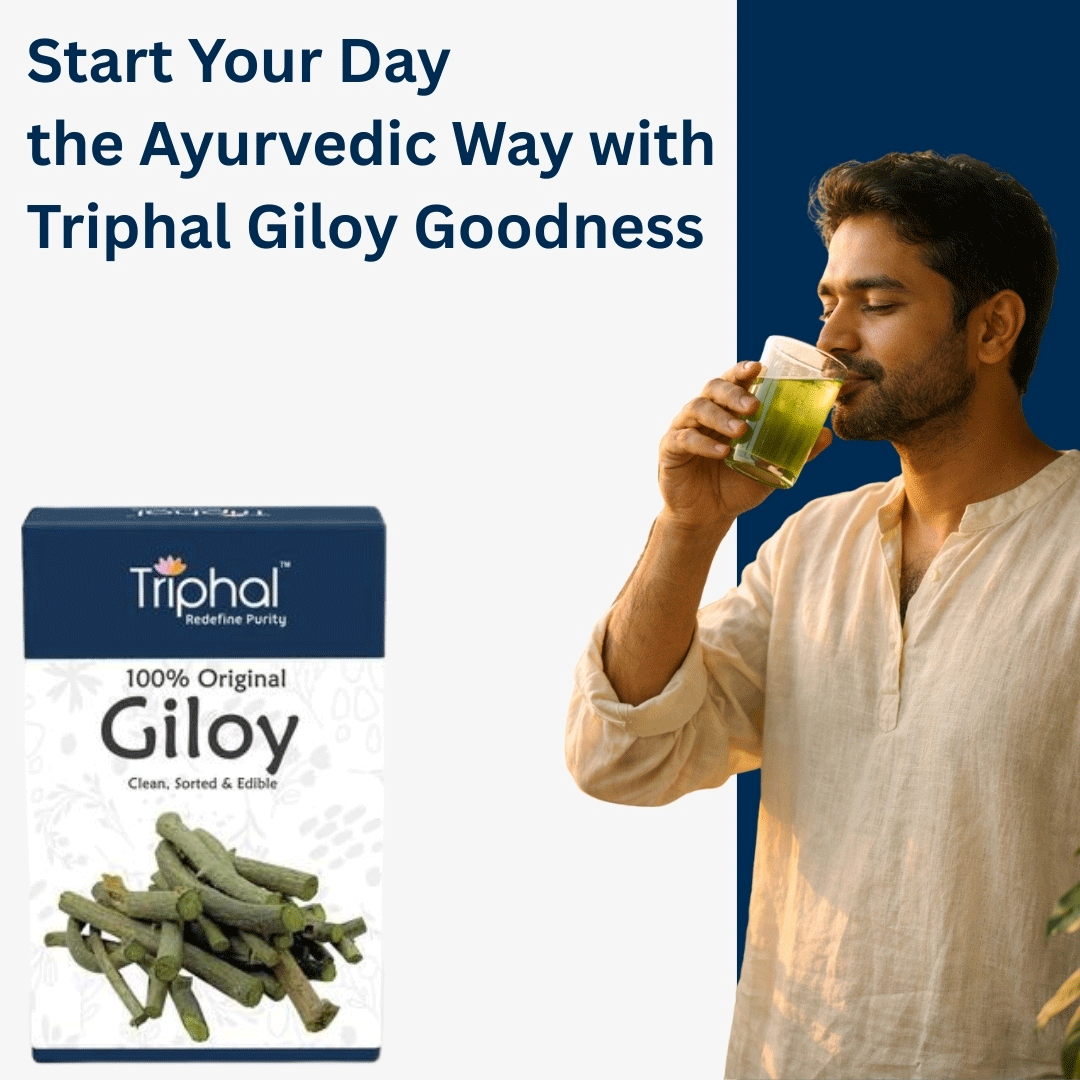 Giloy - Amrita - Guduchi - Gilo | Raw Dried Form | Edible Grade | Triphal