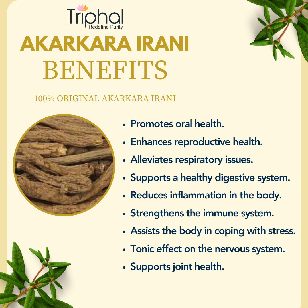 Triphal brand Akarkara Irani - Original Ayurvedic and Unani Herb used for males wellbeing, toothache and indigestion