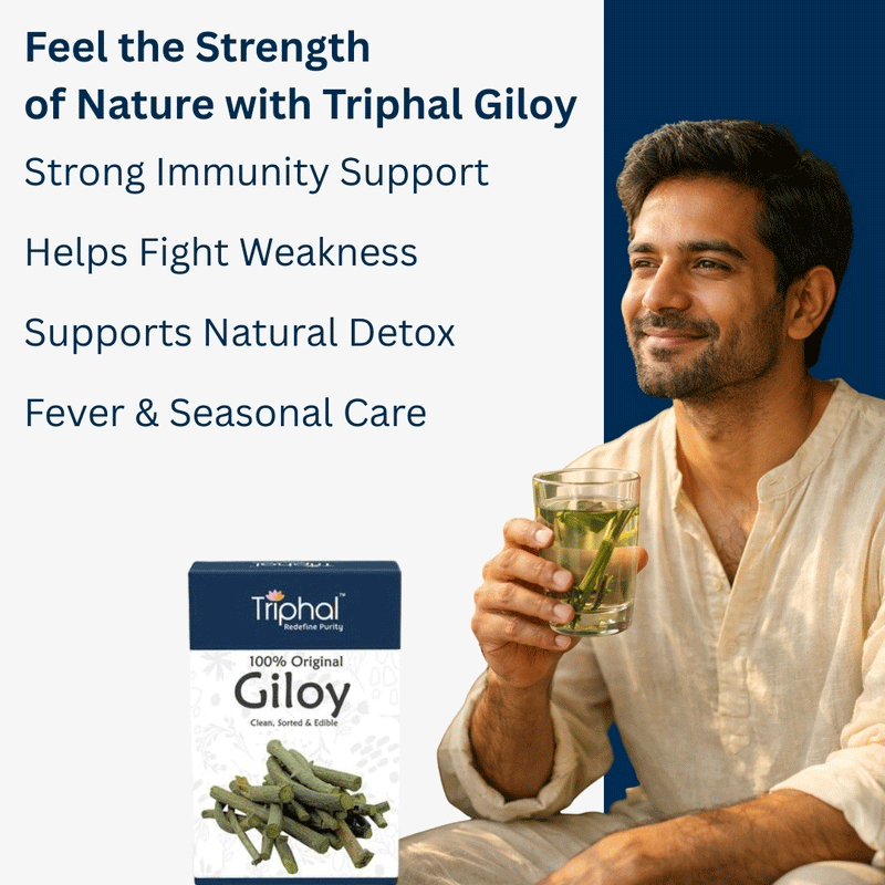 Giloy - Amrita - Guduchi - Gilo | Raw Dried Form | Edible Grade | Triphal