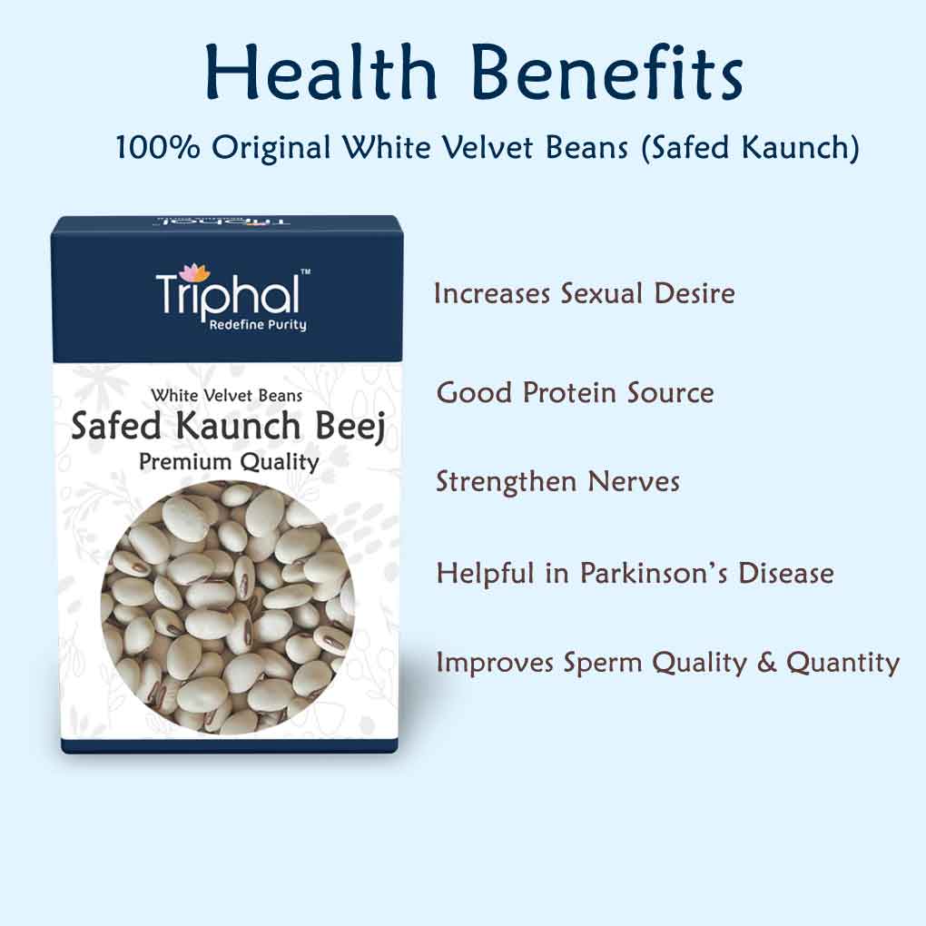 Health Benefits of Safed Kaunch Beej - Increases sexual desire, good protein source, stregthen nerves, helpful in Parkinson's disease, improve sperm quality
