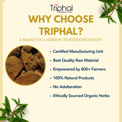 Triphal's Amba Haldi Powder - 100% Pure and Natural Curcuma Amada - Wild Turmeric - Mango Ginger - Aama Haldi