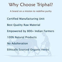 Giloy Powder - Amrita Churn - Guduchi Grounded - Gilo | Edible Grade | Triphal