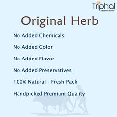 Vijaysar Churna - Pterocarpus Marsupium Powder | 100% Natural | Preservative Free