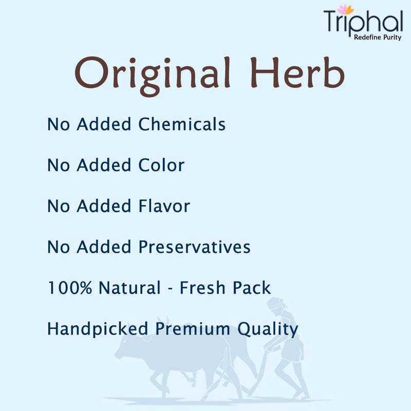Vijaysar Churna - Pterocarpus Marsupium Powder | 100% Natural | Preservative Free