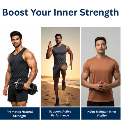 Himalayan Shilajit Resin