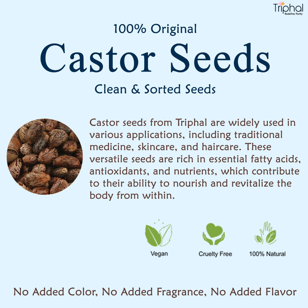 Castor Seeds or Arandi Beej - 100% Natural 
