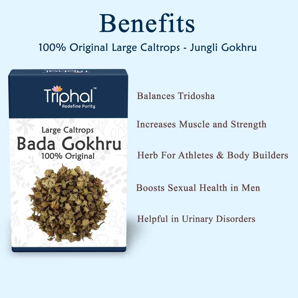 Buy Bada Gokhru - Gokshura | Original & Pure Himalayan Herb | Triphal