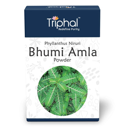 Bhumi Amla Powder - Pure, Natural Bhumyamalaki Churna | Triphal