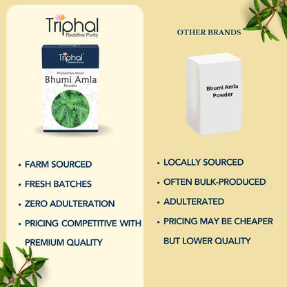 Bhumi Amla Powder - Pure, Natural Bhumyamalaki Churna | Triphal
