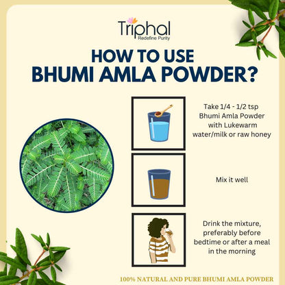 Bhumi Amla Powder - Pure, Natural Bhumyamalaki Churna | Triphal