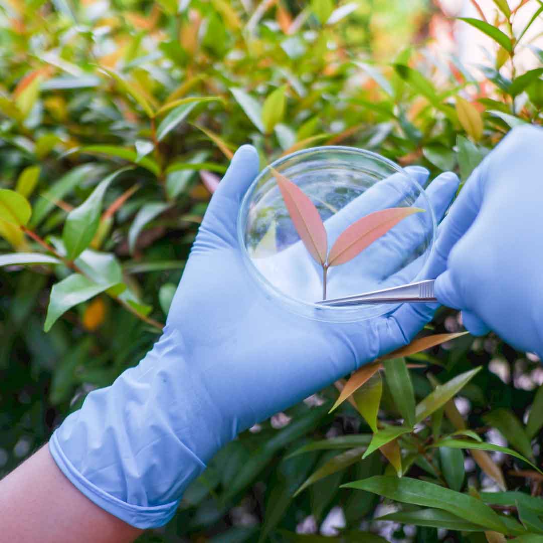 Effects of circumcision on male sexual functions: a systematic review and meta-analysis