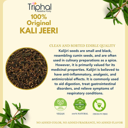 Kali Jeeri - Kalijiri - Black Cumin | Clean & Sorted Original Seeds | Triphal