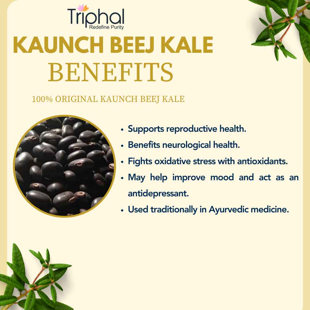 Kaunch Beej Kale – Black Velvet Beans | Premium Quality Seeds | Triphal