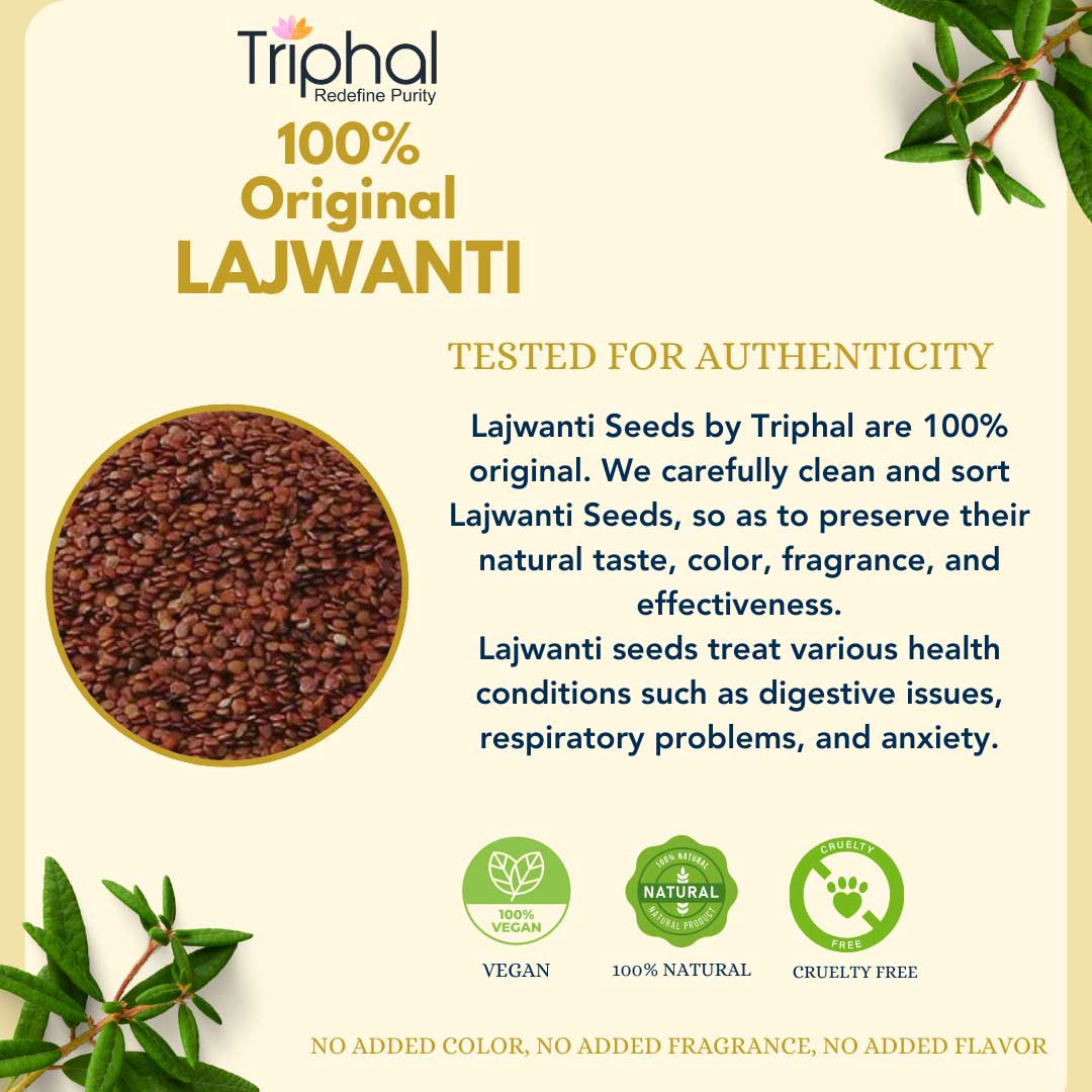 Lajwanti Seeds – Mimosa Pudica – Chui Mui Beej | Edible Grade Lajvanti Bij | Triphal
