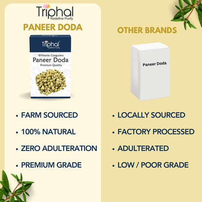 Paneer Doda - Panir Phool - Paner Dodi | Original, Clean & Sorted | Premium Quality | Triphal