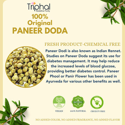 Paneer Doda - Panir Phool - Paner Dodi | Original, Clean & Sorted | Premium Quality | Triphal