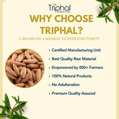 Pine Nuts - Chilgoza | With Shell | Premium Grade | Triphal