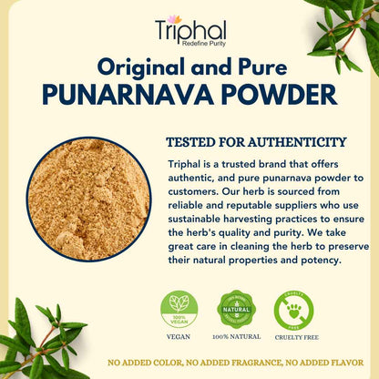 Punarnava Powder - Pure, Organic & Preservative Free Churna
