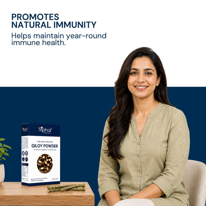 Triphal Giloy Powder for natural immunity and year-round immune health support