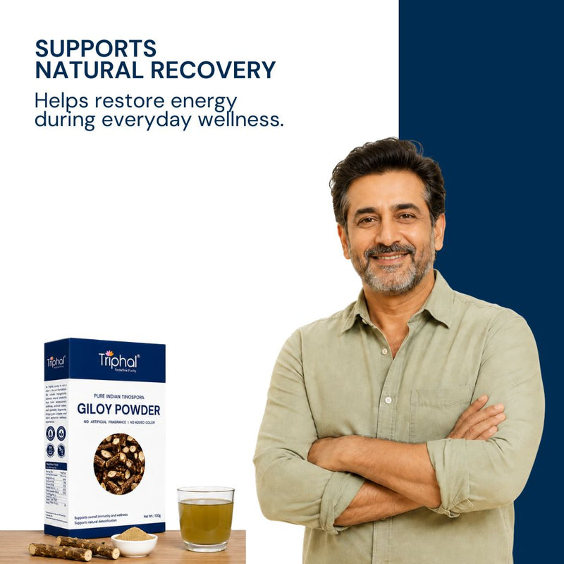 Triphal Giloy Powder supporting natural recovery and restoring energy during everyday wellness