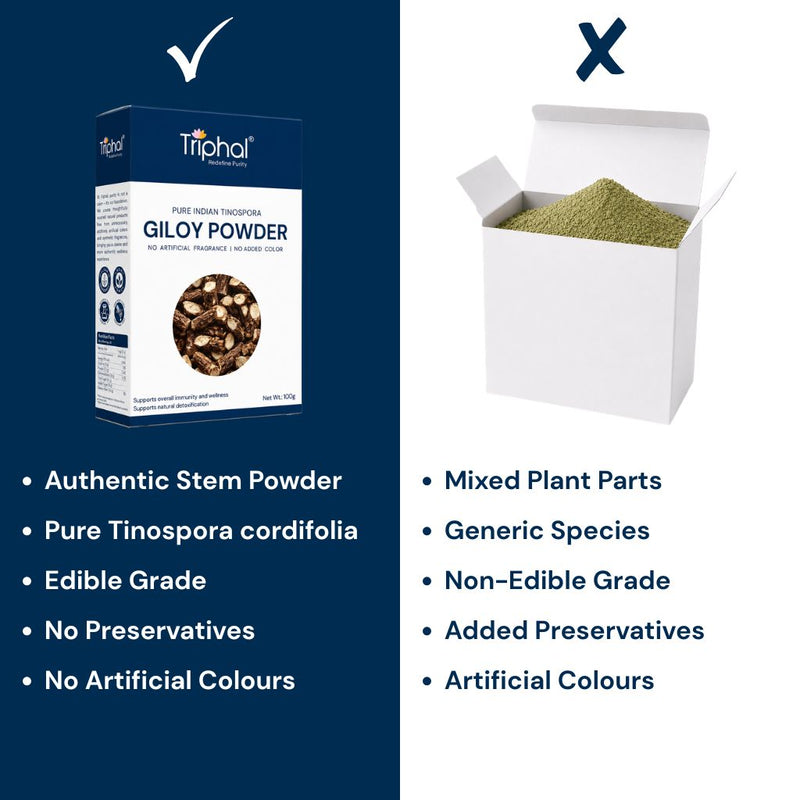 Triphal Giloy Powder vs ordinary brands — authentic stem powder, pure Tinospora cordifolia, edible grade, no preservatives