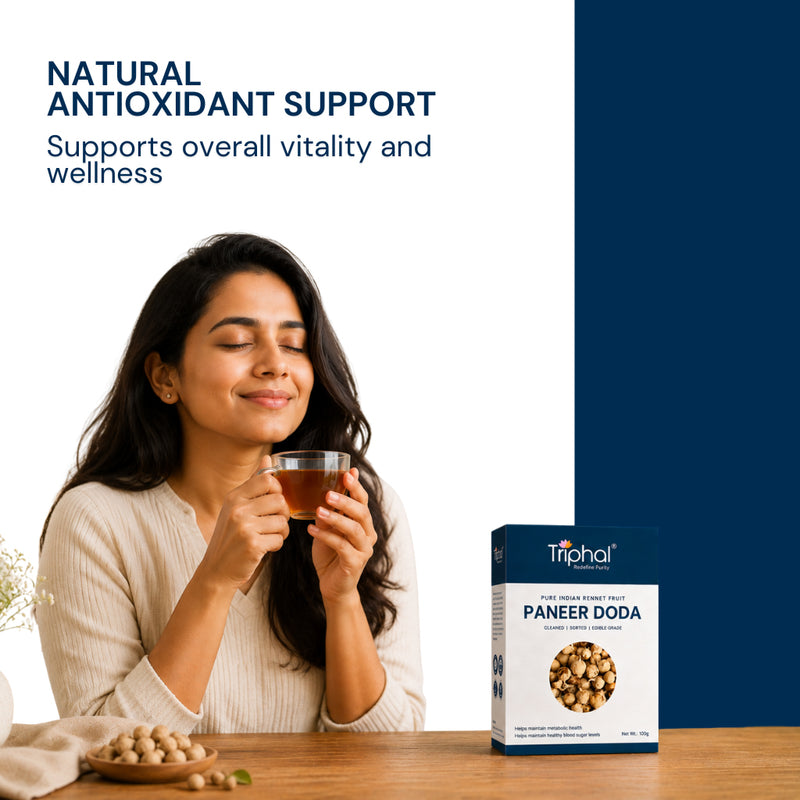 Triphal Dried Paneer Doda flowers rich in antioxidants for immunity and wellness